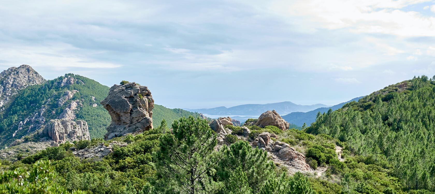 Corse
