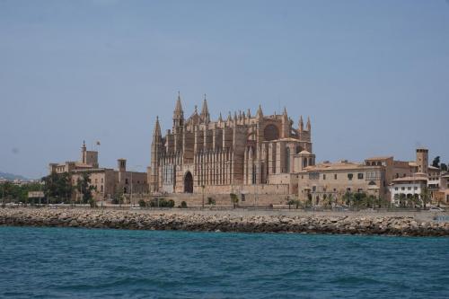 Palma-min